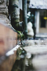 Close-up of water drops on pipe