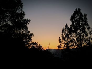 Low angle view of silhouette trees against sky at sunset