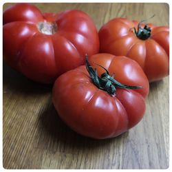 Close-up of tomatoes on table