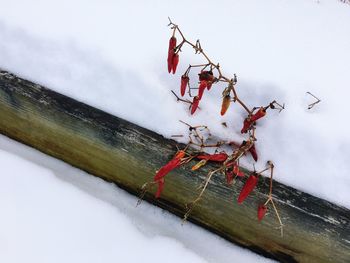 Close-up of snow against sky during winter