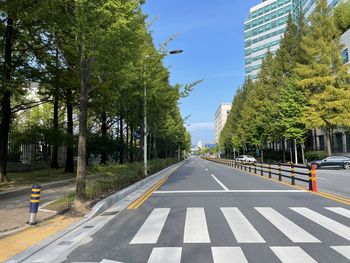 Road amidst trees against sky