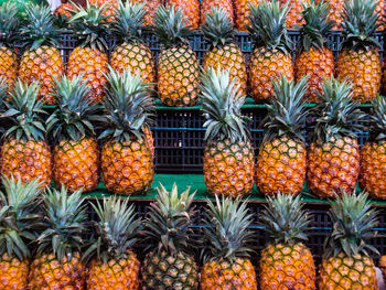 Pineapples arranged on shelf for sale at market stall