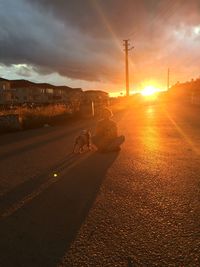Full length of young woman standing on road with dog against sky during sunset