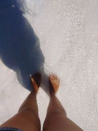 Low section of woman standing on beach