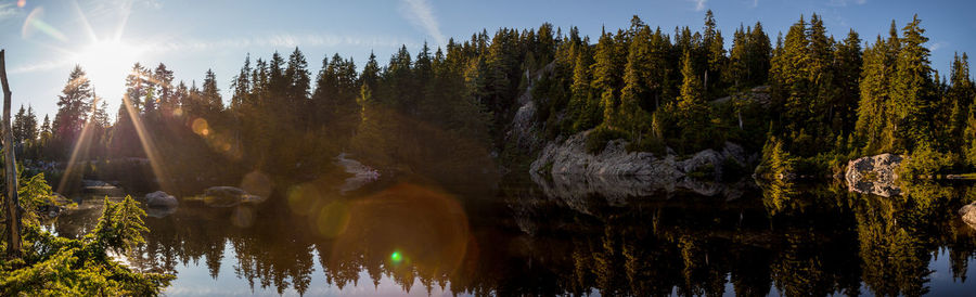 Panoramic view of lake in forest against sky