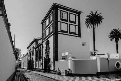 Street by palm trees and buildings against sky