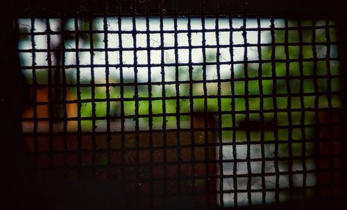 Full frame shot of metal grate window