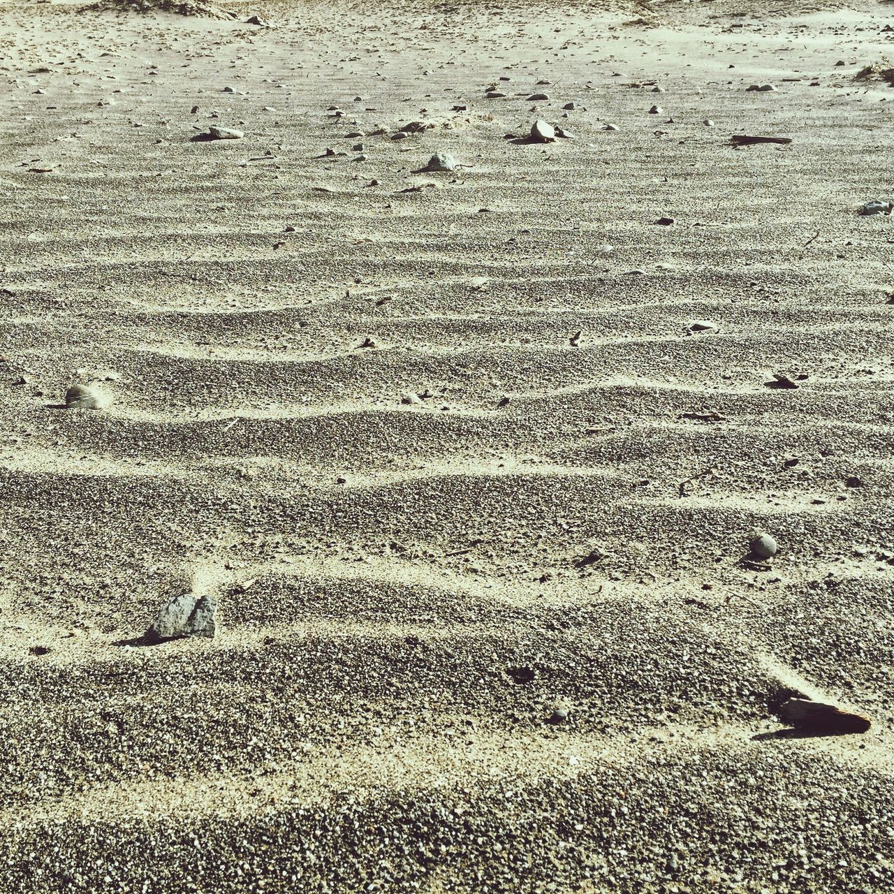 Waves in the sand