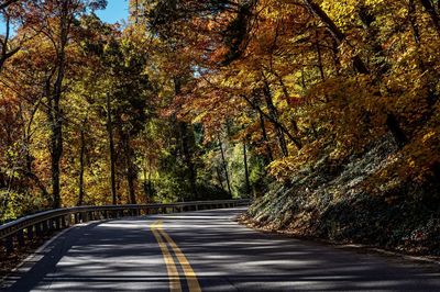 Road amidst trees in forest during autumn