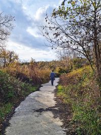 Rear view of man walking on footpath amidst plants against sky