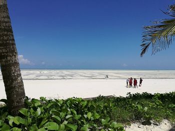 People on beach against clear sky