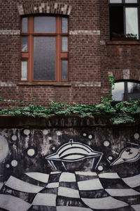 Potted plants outside house