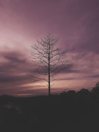 Silhouette tree on landscape against sky during sunset