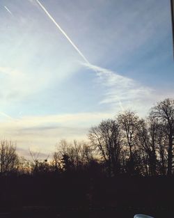 Low angle view of trees against sky