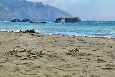 Scenic view of beach against sky