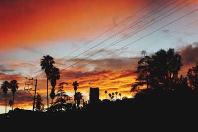 Silhouette of trees against dramatic sky