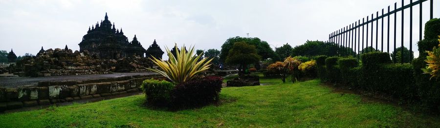 Trees in front of building