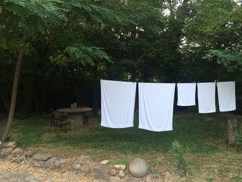 Clothes drying on grass in yard