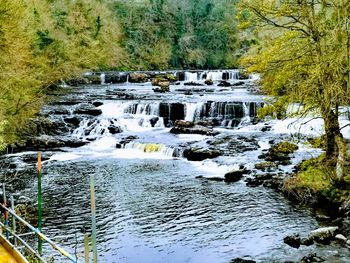 Scenic view of waterfall in forest
