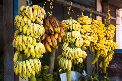 Bunches of bananas fresh cut from a tree on sale in the market in asia. banana varieties, street 