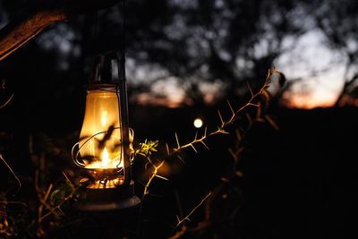 Kerosone lamp in the early evening along the walking trail inside mundulea bush camp.