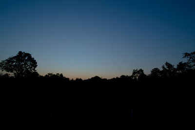 Silhouette trees against clear sky
