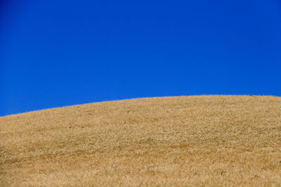 Scenic view of field against clear blue sky