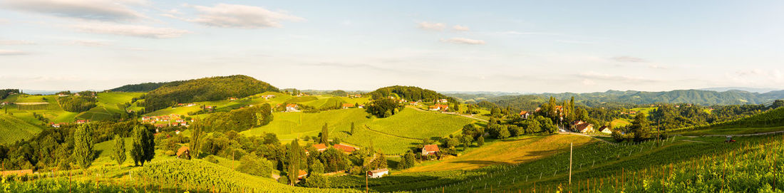 Scenic view of agricultural field against sky