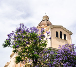 Low angle view of flowering tree by building against sky