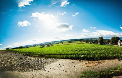 Scenic view of field against sky