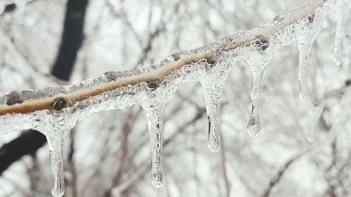 Close-up of frozen water