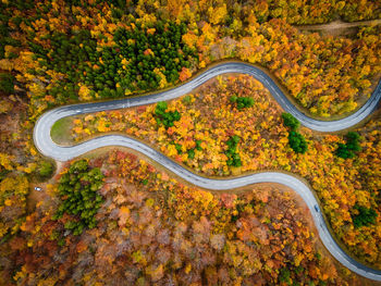 High angle view of yellow road amidst trees in forest