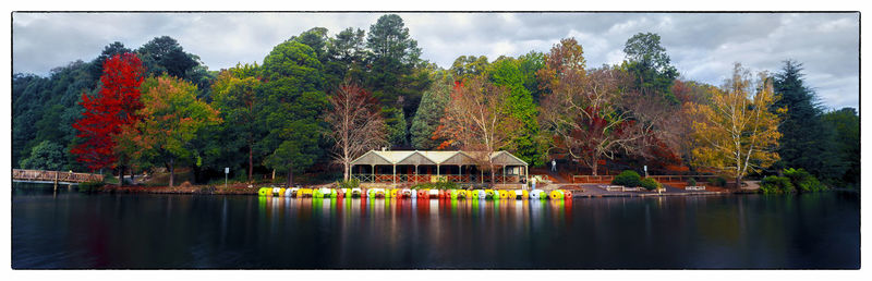 Scenic view of lake by trees against sky