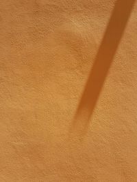 Close-up of shadow on floor