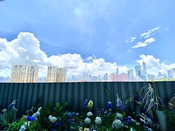 Panoramic view of flowering plants and buildings against sky