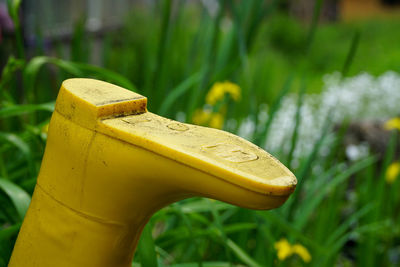 Close-up of yellow rubber boot against plants