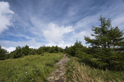 Scenic view of green landscape against sky