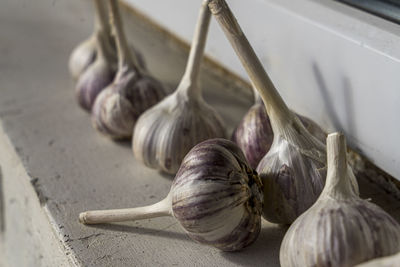 Close-up of garlic on table