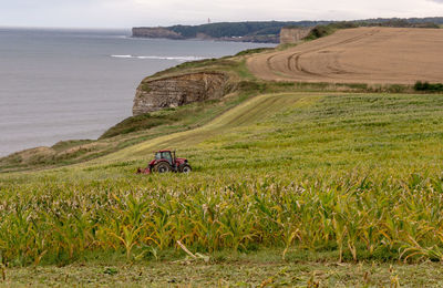 Scenic view of rural field by sea