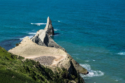 High angle view of rocks on beach