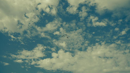 Low angle view of airplane flying in sky