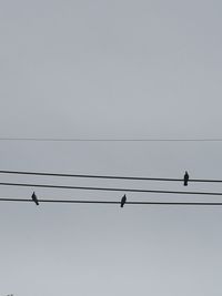 Low angle view of birds perching on cable against sky