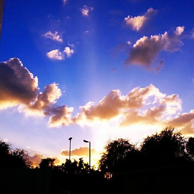 silhouette, sunset, sky, tree, cloud - sky, blue, beauty in nature, tranquility, scenics, tranquil scene, street light, cloud, nature, low angle view, idyllic, sunlight, orange color, outdoors, no people, outline