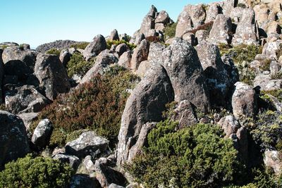 Rock formations, summit of mount wellington, hobart, tasmania 