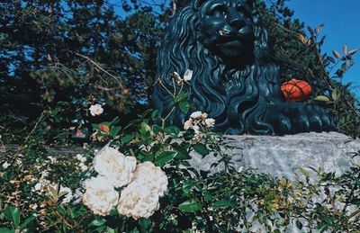 Statue of flowering plants in garden