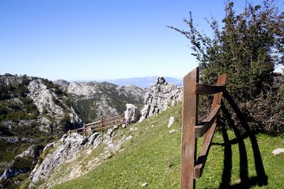 Scenic view of landscape against clear blue sky