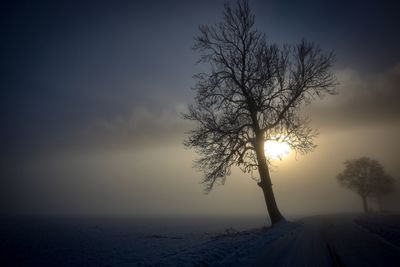Silhouette tree on snow covered landscape against sky during sunset