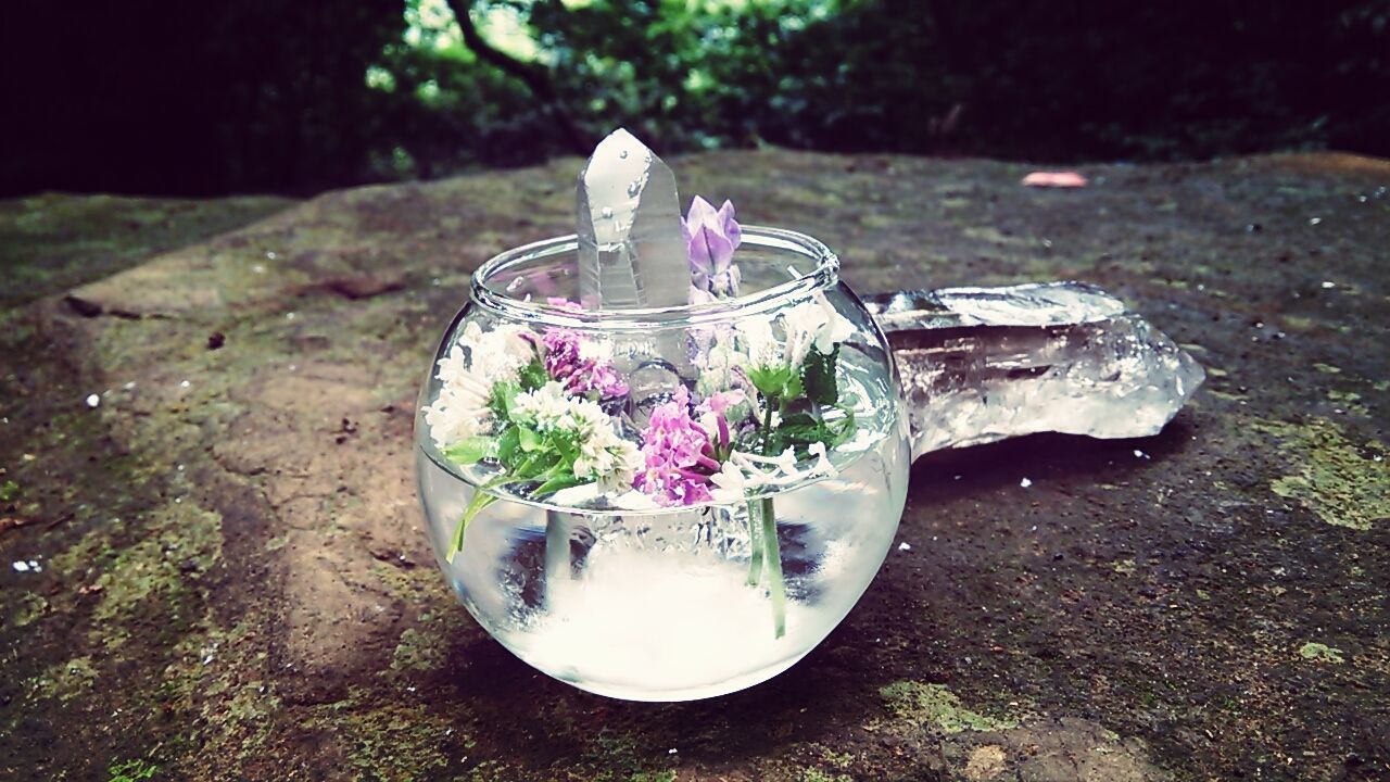 flower, freshness, table, fragility, close-up, growth, plant, focus on foreground, vase, glass - material, nature, petal, beauty in nature, flower pot, no people, decoration, potted plant, white color, high angle view, still life