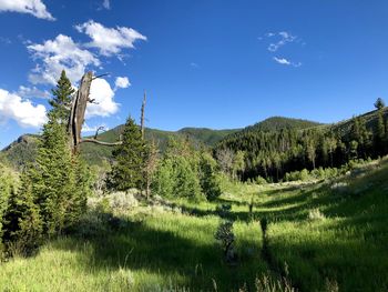 Scenic view of land against sky