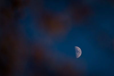 Low angle view of moon in sky